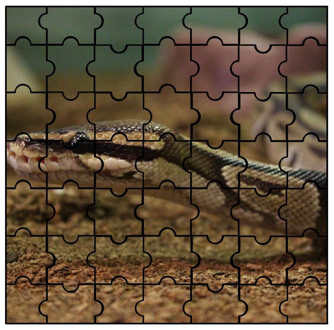 IMAS Animal Puzzle Snake