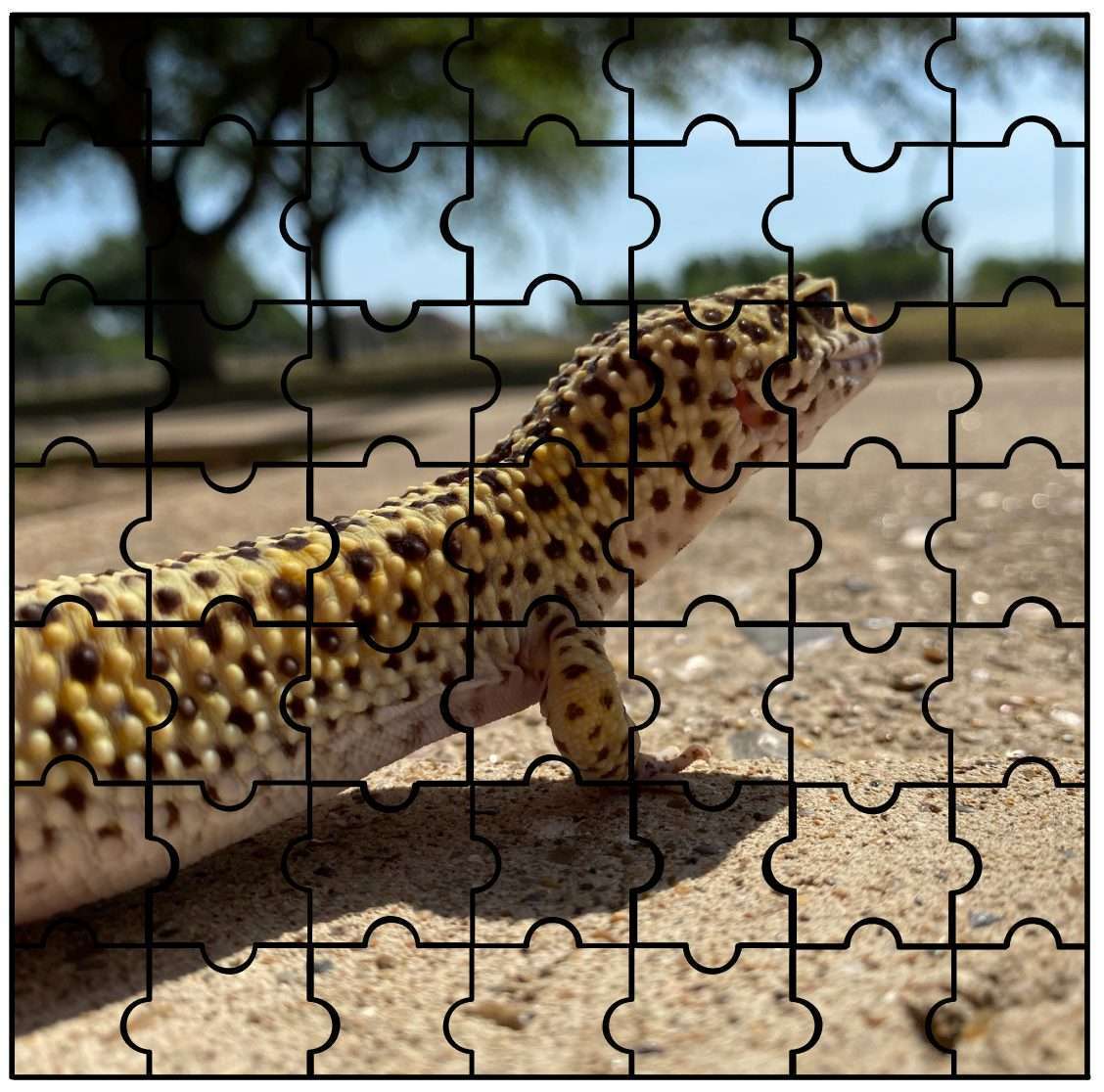 IMAS Animal Puzzle Gobi