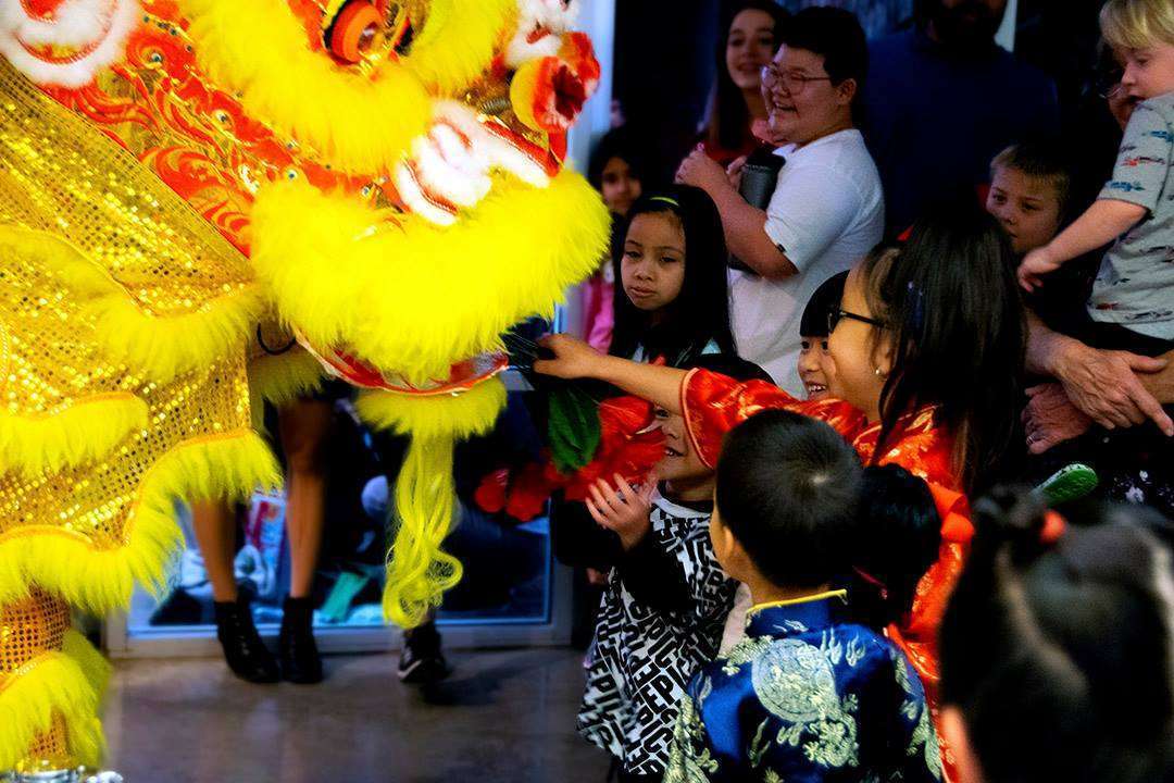 Dragon at Lunar new year Lunar New Year at IMAS