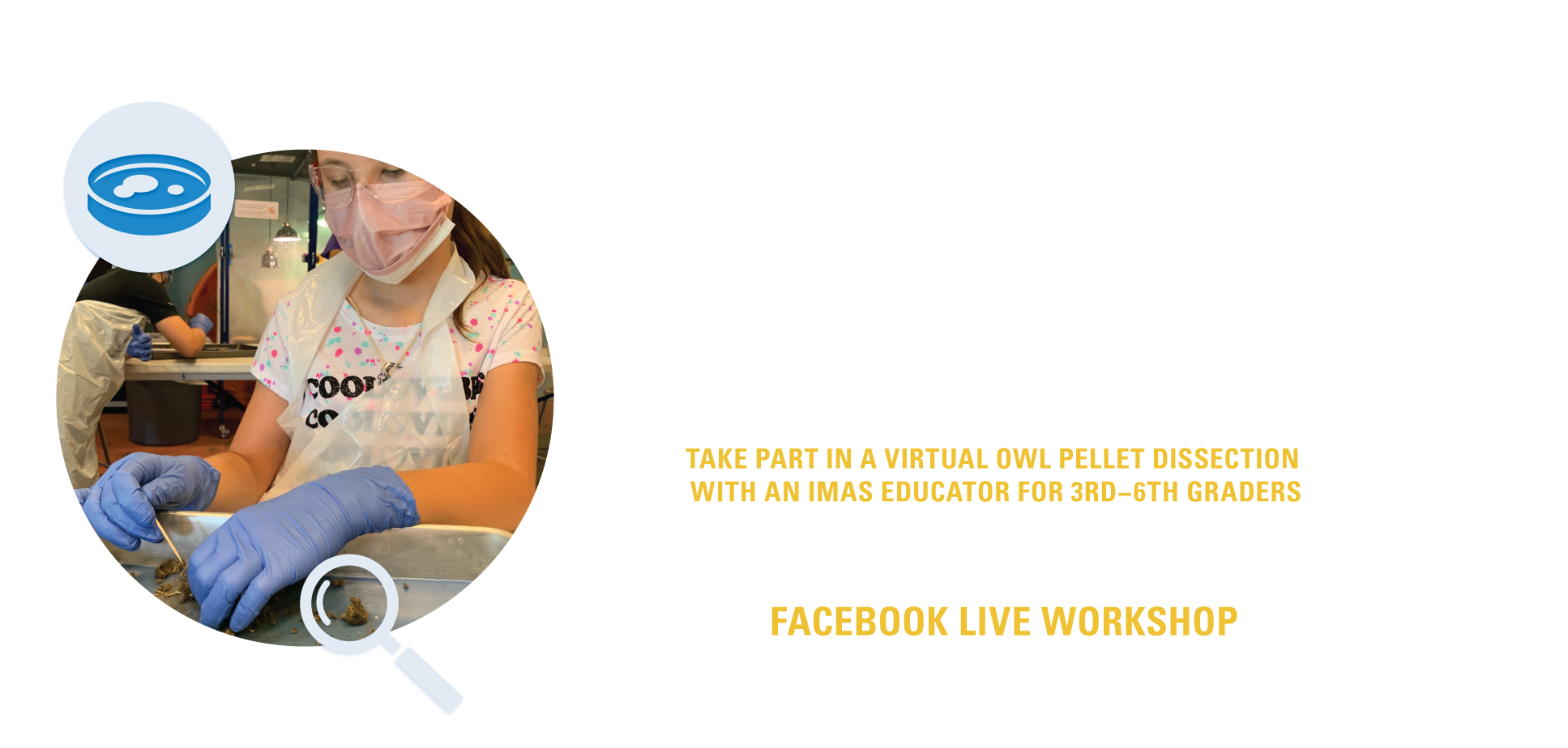 ASA-Barn-Owls-socials