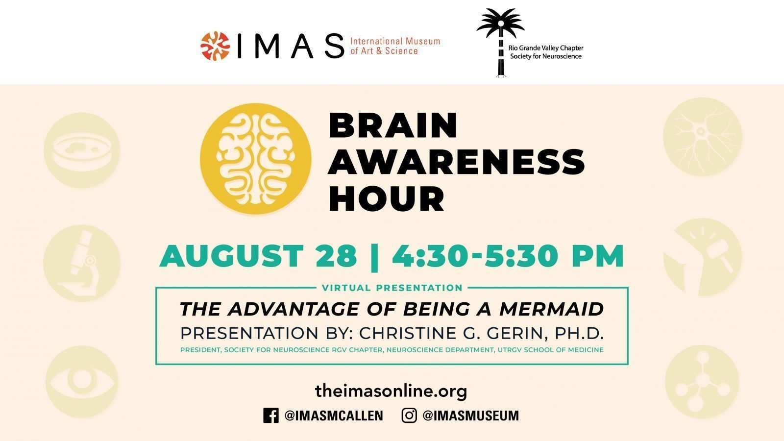Brain Awareness Hour The Advantages of Being a Mermaid