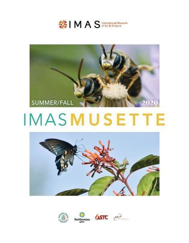 2020 Summer Fall Musette