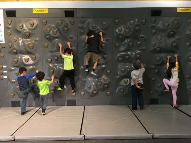 digital rock wall