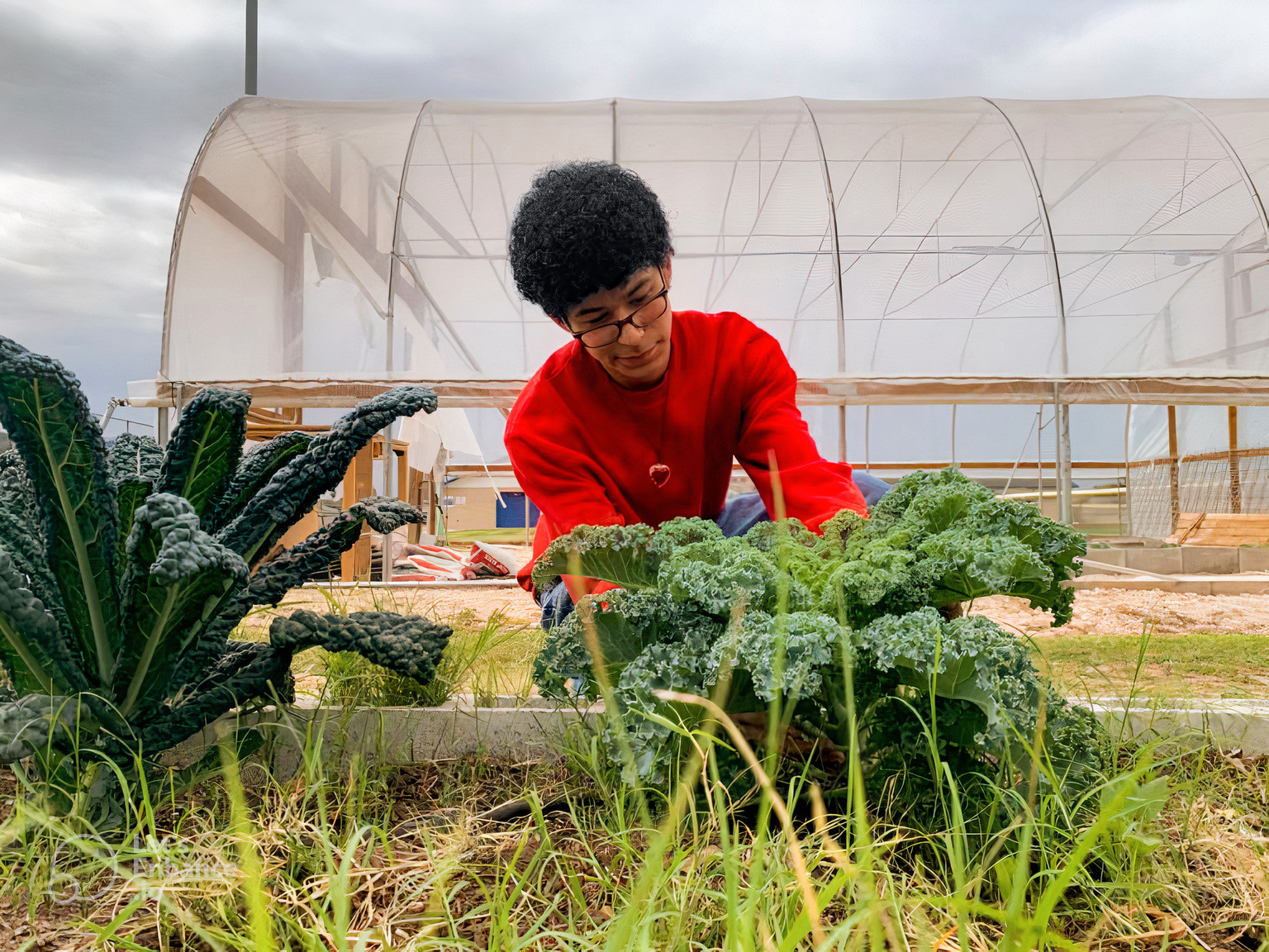 Mission CISD FARMERS exhibit