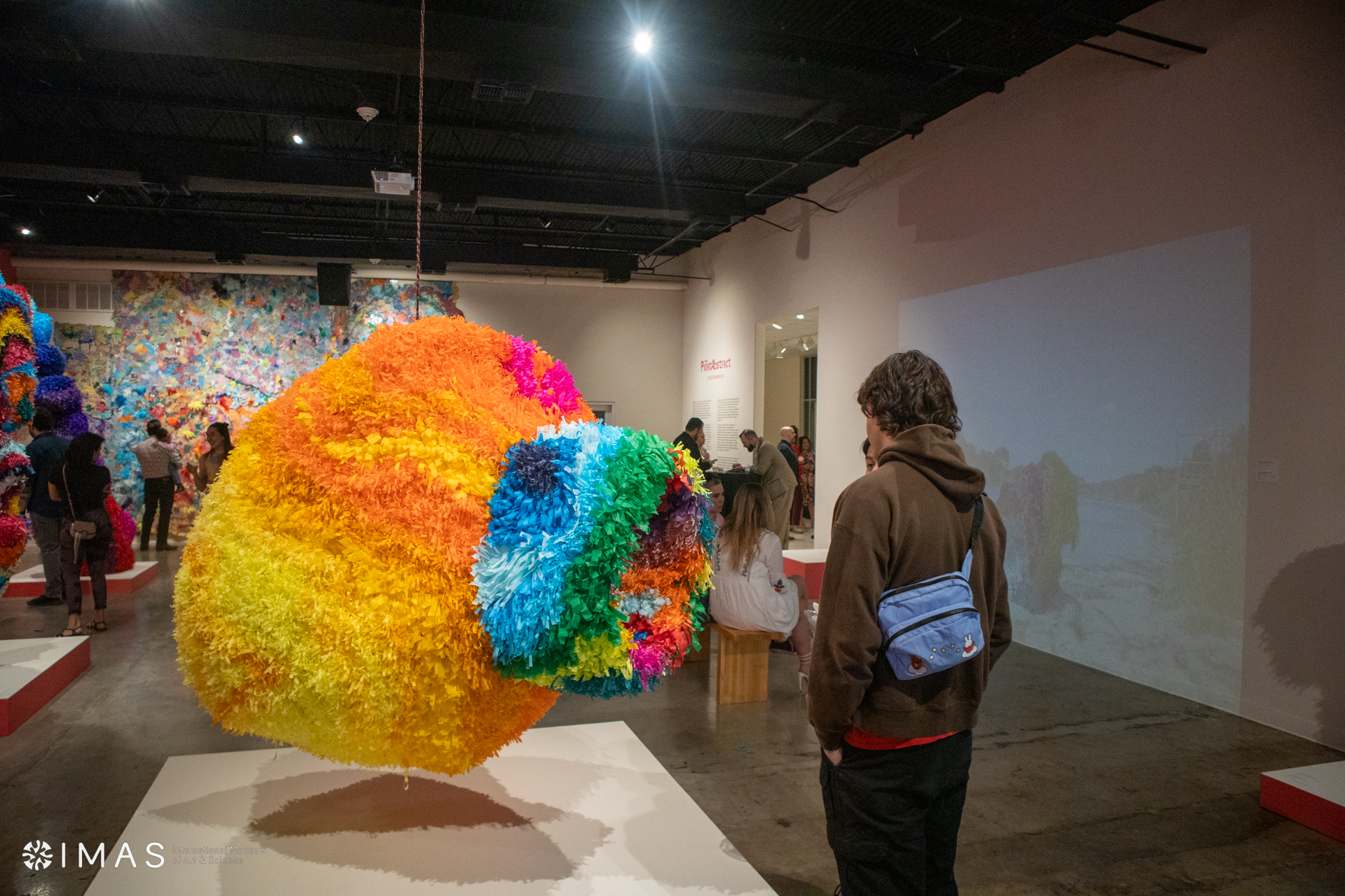 Pinatabstract at IMAS by Josue Rawmirez