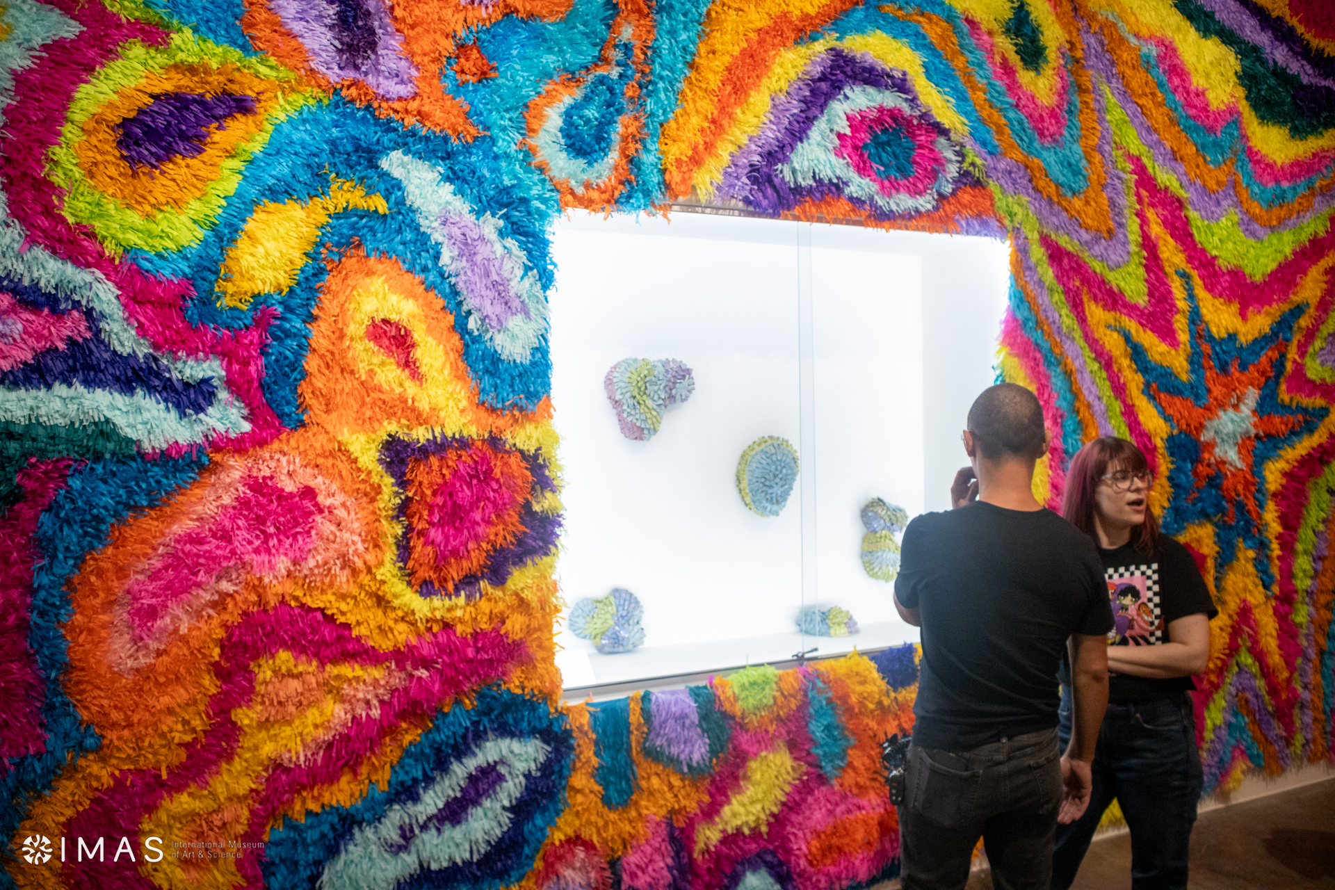 Pinatabstract at IMAS by Josue Rawmirez