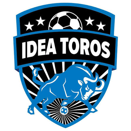 IDEA toros_logo IDEA Toros Logo