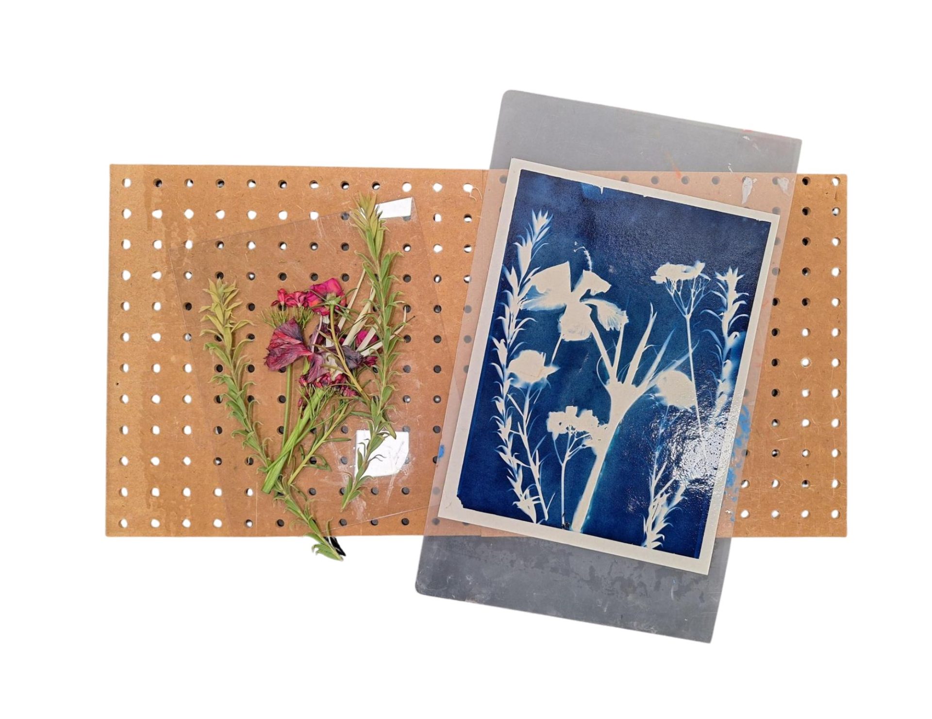 Cyanotype Workshop Image